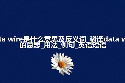 data wire是什么意思及反义词_翻译data wire的意思_用法_例句_英语短语