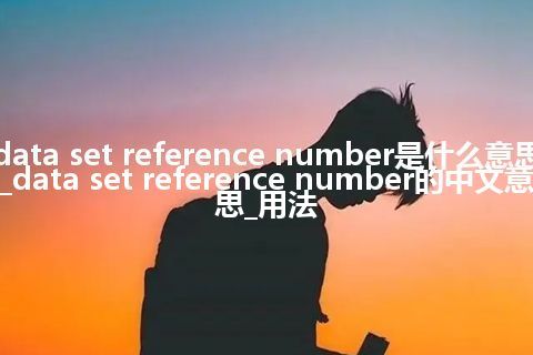 data set reference number是什么意思_data set reference number的中文意思_用法