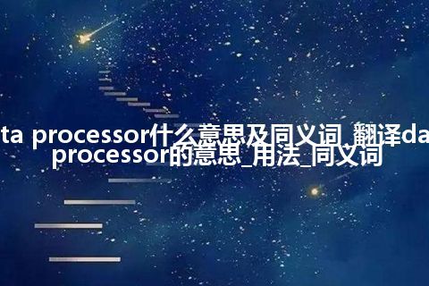 data processor什么意思及同义词_翻译data processor的意思_用法_同义词