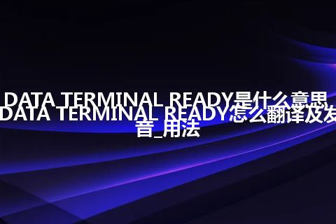 DATA TERMINAL READY是什么意思_DATA TERMINAL READY怎么翻译及发音_用法