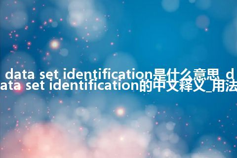 data set identification是什么意思_data set identification的中文释义_用法