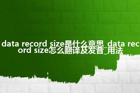 data record size是什么意思_data record size怎么翻译及发音_用法