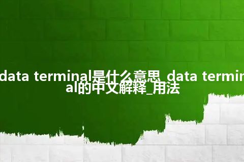 data terminal是什么意思_data terminal的中文解释_用法