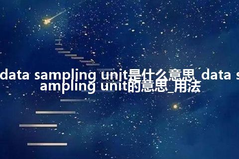 data sampling unit是什么意思_data sampling unit的意思_用法