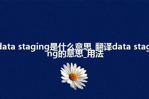 data staging是什么意思_翻译data staging的意思_用法