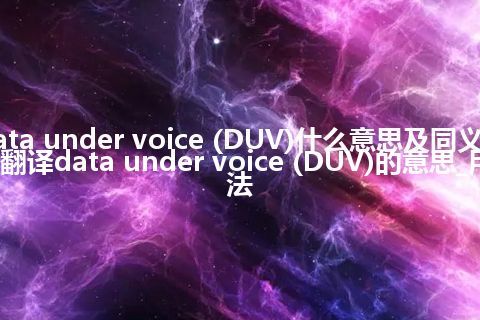 data under voice (DUV)什么意思及同义词_翻译data under voice (DUV)的意思_用法