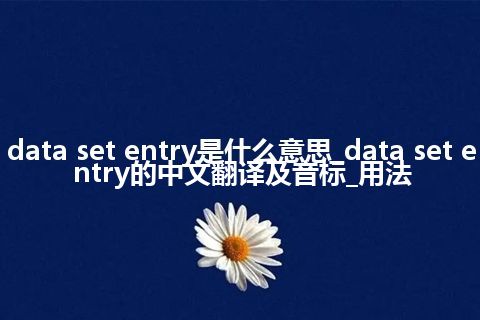 data set entry是什么意思_data set entry的中文翻译及音标_用法