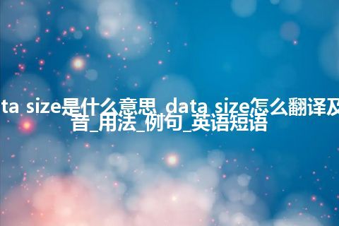 data size是什么意思_data size怎么翻译及发音_用法_例句_英语短语