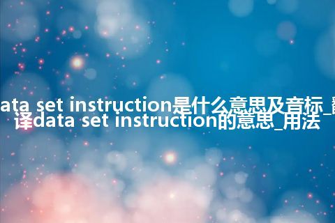 data set instruction是什么意思及音标_翻译data set instruction的意思_用法