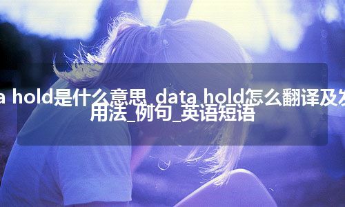 data hold是什么意思_data hold怎么翻译及发音_用法_例句_英语短语