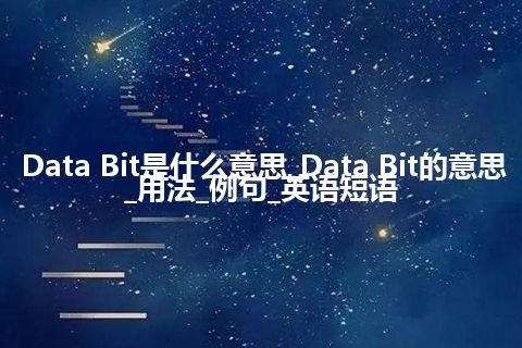 Data Bit是什么意思_Data Bit的意思_用法_例句_英语短语