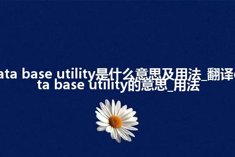 data base utility是什么意思及用法_翻译data base utility的意思_用法