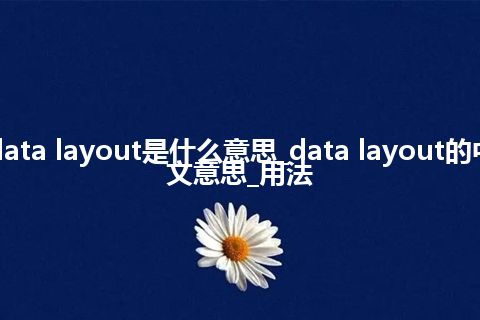 data layout是什么意思_data layout的中文意思_用法