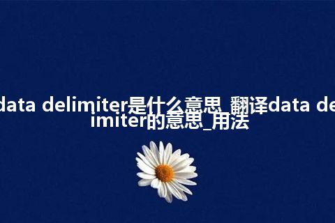 data delimiter是什么意思_翻译data delimiter的意思_用法