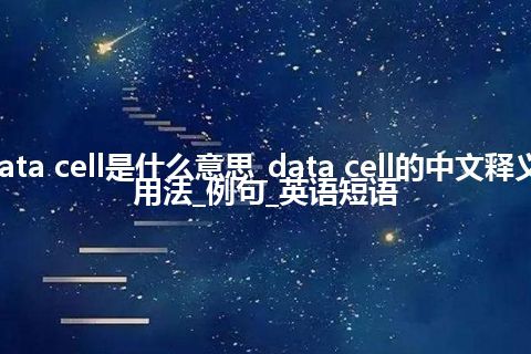 data cell是什么意思_data cell的中文释义_用法_例句_英语短语