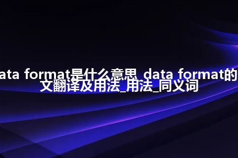 data format是什么意思_data format的中文翻译及用法_用法_同义词