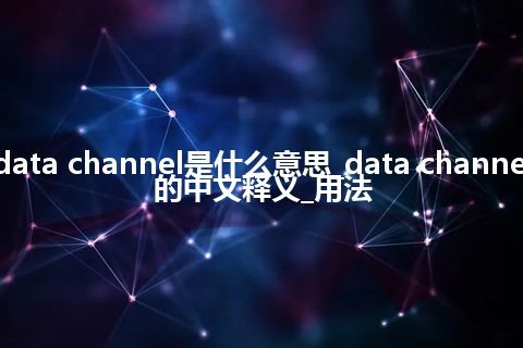 data channel是什么意思_data channel的中文释义_用法