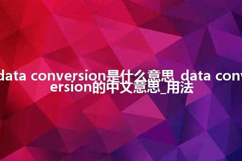 data conversion是什么意思_data conversion的中文意思_用法