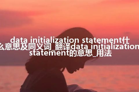 data initialization statement什么意思及同义词_翻译data initialization statement的意思_用法