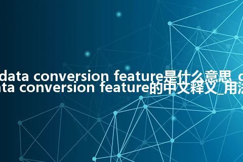 data conversion feature是什么意思_data conversion feature的中文释义_用法