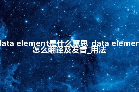 data element是什么意思_data element怎么翻译及发音_用法