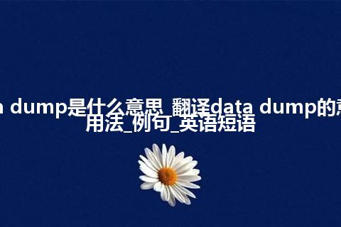 data dump是什么意思_翻译data dump的意思_用法_例句_英语短语