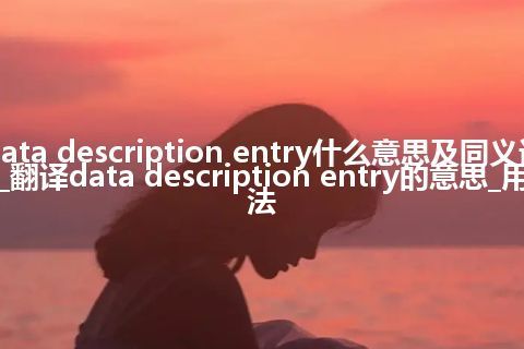 data description entry什么意思及同义词_翻译data description entry的意思_用法