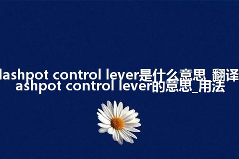 dashpot control lever是什么意思_翻译dashpot control lever的意思_用法