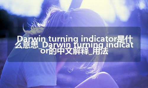 Darwin turning indicator是什么意思_Darwin turning indicator的中文解释_用法