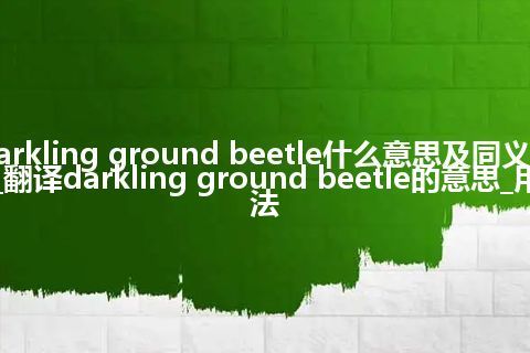 darkling ground beetle什么意思及同义词_翻译darkling ground beetle的意思_用法