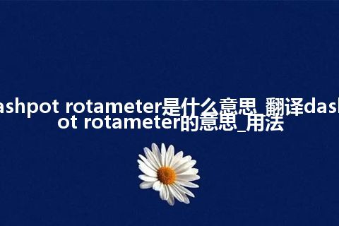 dashpot rotameter是什么意思_翻译dashpot rotameter的意思_用法