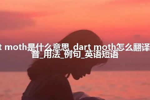 dart moth是什么意思_dart moth怎么翻译及发音_用法_例句_英语短语