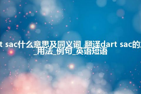 dart sac什么意思及同义词_翻译dart sac的意思_用法_例句_英语短语