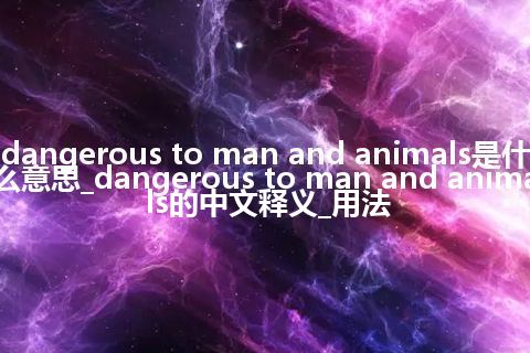 dangerous to man and animals是什么意思_dangerous to man and animals的中文释义_用法