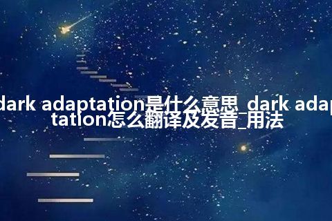 dark adaptation是什么意思_dark adaptation怎么翻译及发音_用法