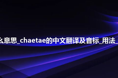 chaetae是什么意思_chaetae的中文翻译及音标_用法_例句_英语短语