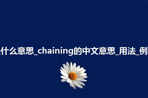 chaining是什么意思_chaining的中文意思_用法_例句_英语短语