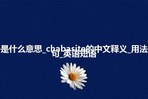 chabasite是什么意思_chabasite的中文释义_用法_同义词_例句_英语短语