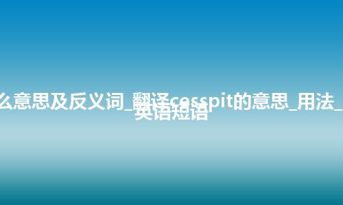 cesspit是什么意思及反义词_翻译cesspit的意思_用法_同义词_例句_英语短语