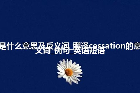 cessation是什么意思及反义词_翻译cessation的意思_用法_同义词_例句_英语短语