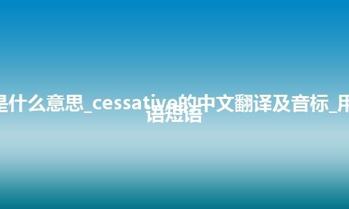 cessative是什么意思_cessative的中文翻译及音标_用法_例句_英语短语