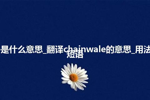 chainwale是什么意思_翻译chainwale的意思_用法_例句_英语短语