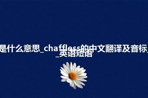 chaffless是什么意思_chaffless的中文翻译及音标_用法_例句_英语短语