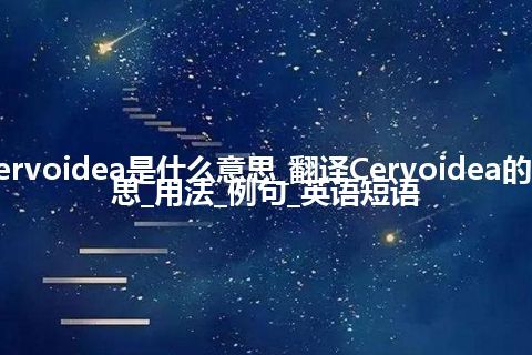 Cervoidea是什么意思_翻译Cervoidea的意思_用法_例句_英语短语