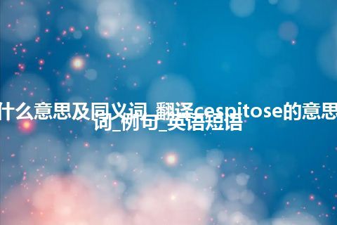 cespitose什么意思及同义词_翻译cespitose的意思_用法_同义词_例句_英语短语