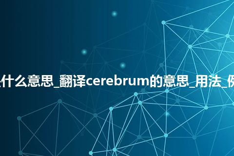 cerebrum是什么意思_翻译cerebrum的意思_用法_例句_英语短语