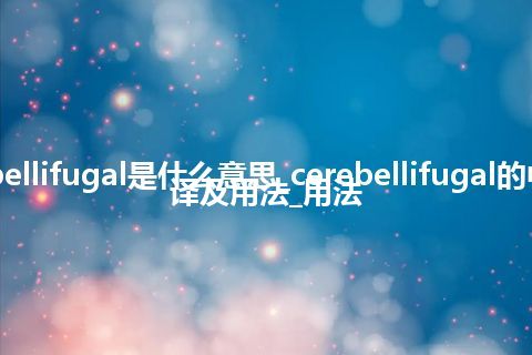 cerebellifugal是什么意思_cerebellifugal的中文翻译及用法_用法