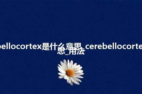 cerebellocortex是什么意思_cerebellocortex的意思_用法