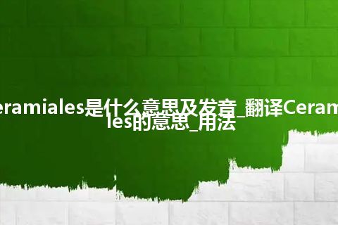 Ceramiales是什么意思及发音_翻译Ceramiales的意思_用法