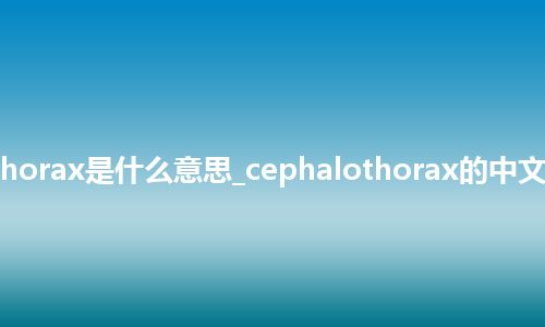 cephalothorax是什么意思_cephalothorax的中文解释_用法